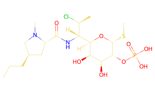 Clindamycin Formulations